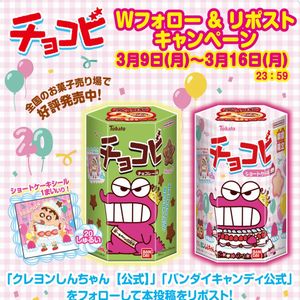 チョコビ 1箱（6個入り）