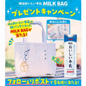 牛乳の紙パックで作ったMILK BAG　他