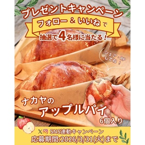 ナカヤのアップルパイ6個入り