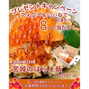 宮城のはらこ飯 2合分×2p