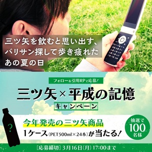 三ツ矢 新商品1ケース