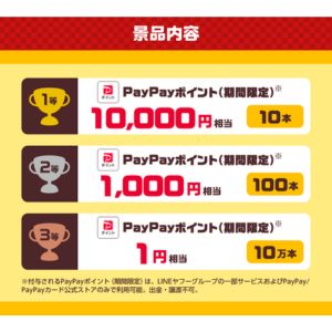 PayPayポイント1万円分 他