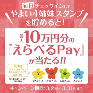 えらべるPay最大10万円分