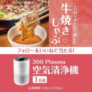 300 Plasma 空気清浄機 他