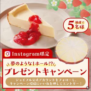 JillさんのN.Yチーズケーキ 1ホール