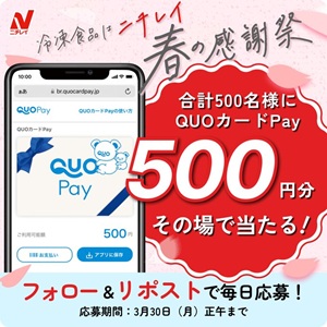 QUOカードPay500円分