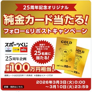 オリジナル純金カード（1g×2枚セット）