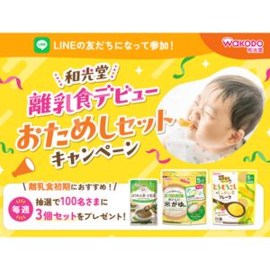 離乳初期 離乳食デビューおためし3個セット