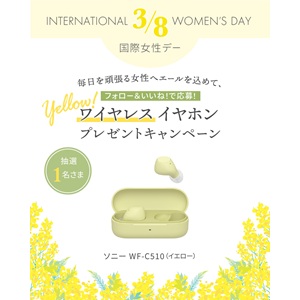 SONY（ソニー） ワイヤレスイヤホン