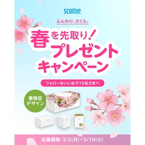 スコッティ ティッシュ「カシミヤ」セット