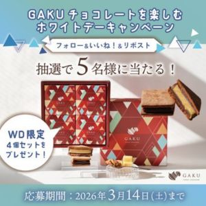 GAKUチョコレート ホワイトデー限定セット