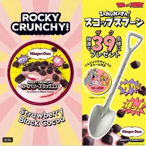 ZAKUKATA!スコップスプーン