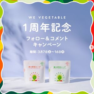 赤の野菜スープ＆緑の野菜スープ 計16袋