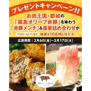 霧島オリーブ赤豚メンチ他詰め合わせセット