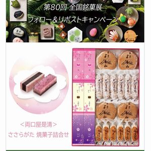 両口屋是清 ささらがた 焼菓子詰合せ