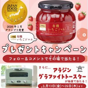 アラジングラファイトトースター　他