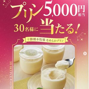 十勝橋本牧場 なめらかプリン 10個