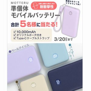 賞品画像：MOTTERU 準個体モバイルバッテリー