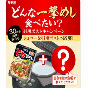 丸美屋 春の新商品6品詰め合わせ