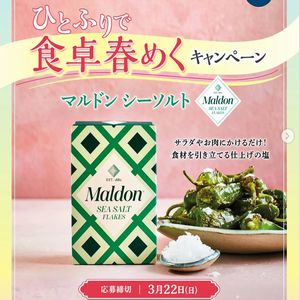 マルドン シーソルト缶入り 1個