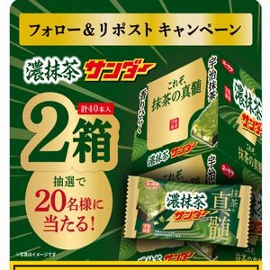 濃抹茶サンダー 2箱　他