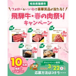 飛騨牛赤身すきしゃぶ用500g 他