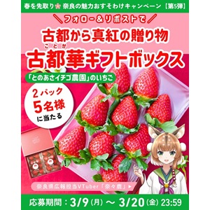 とのあさ農園いちご「古都華」2パック