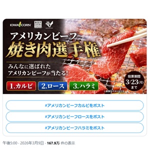 焼肉用アメリカンビーフ約500g 他