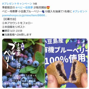 賞品画像：ベビー母恵夢 小豆島ブルーベリー10個入