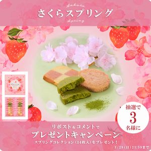 クッキー詰合せ「さくらスプリング」