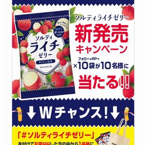 ソルティライチゼリー　他