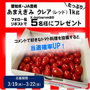 ミニトマト あまえぎみ クレア(レッド)