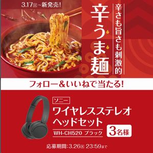 ソニー ワイヤレスステレオヘッドセット