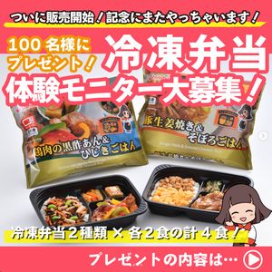 冷凍弁当2種類×各2食の計4食セット