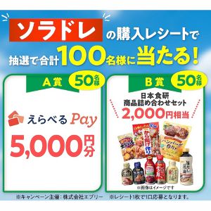 賞品画像：えらべるPay5,000円分　他