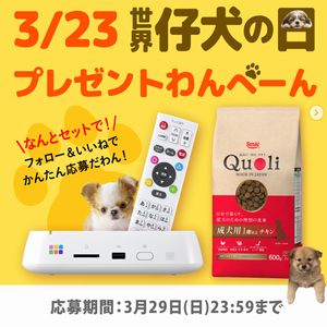 賞品画像：デジタルフォトアルバム「おもいでばこ」他