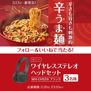 賞品画像：ソニー ワイヤレスステレオヘッドセット