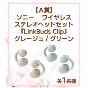 賞品画像：ソニー製品、Amazonギフトカード