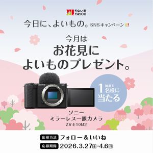 ソニー ミラーレス一眼カメラ