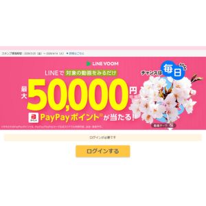 PayPayポイント5万円相当 他