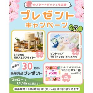 BRUNOガラスエアフライヤー 他