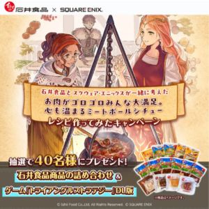石井食品商品詰合せ＆ゲームソフト「トライアングルストラテジー」DL版