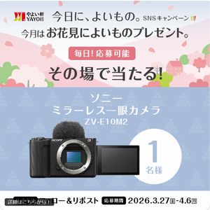 ソニー ミラーレス一眼カメラ