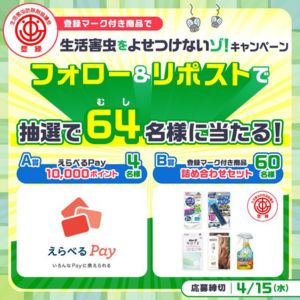えらべるPay1万円分 他
