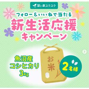 魚沼産コシヒカリ3kg