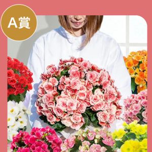 母の日ギフト全20種のうちいずれか1つ