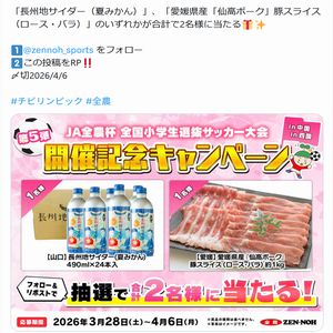 長州地サイダー（夏みかん）　他