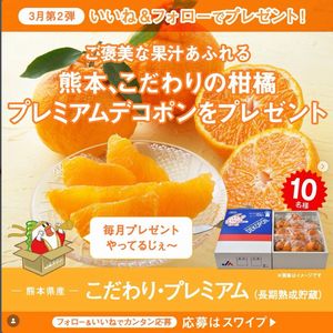 熊本県産 プレミアムデコポン