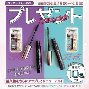 賞品画像：ヒロインメイク ウォータープルーフマスカラ