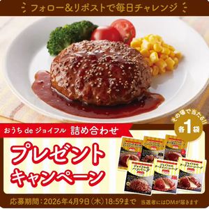 おうちdeジョイフル冷凍商品詰め合わせ